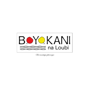 Responsable Stratégie digitale chez BOYOKANI-NA-LOUBI