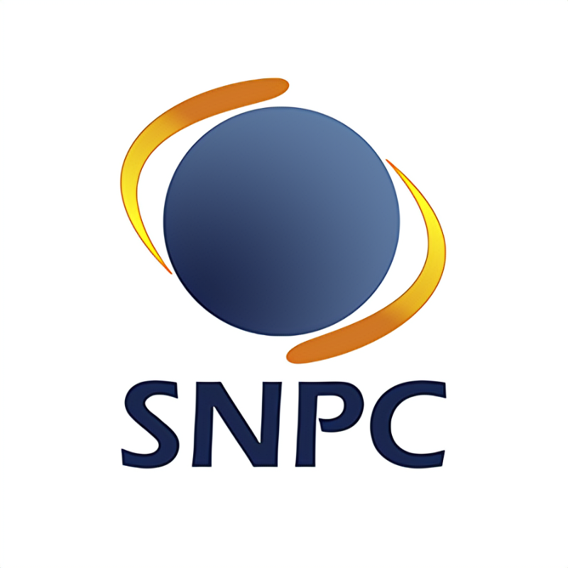 Consultant IT chez Fondation SNPC